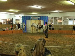 IMG_5254_web